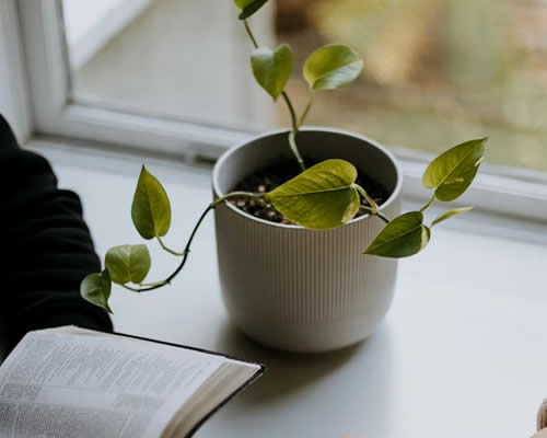 婚姻调解：家庭关系协调